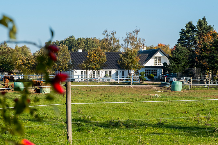 Troldegården i Køge