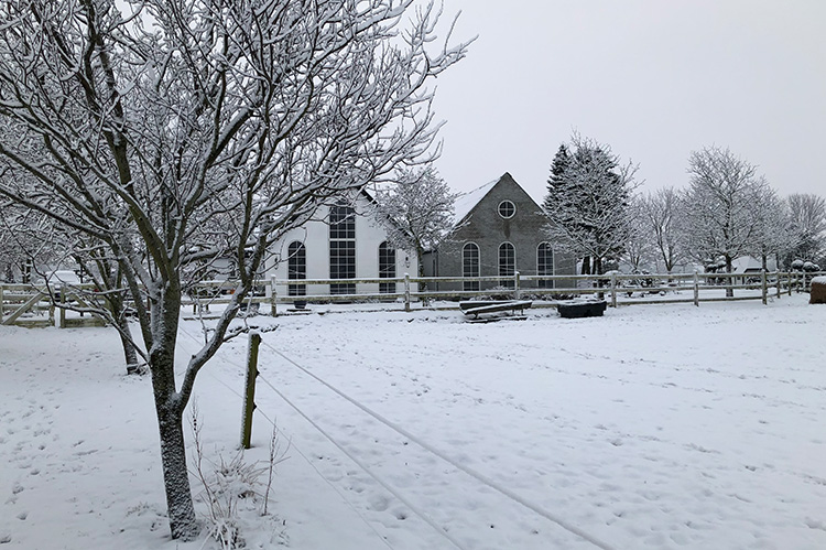 Troldegården i Køge