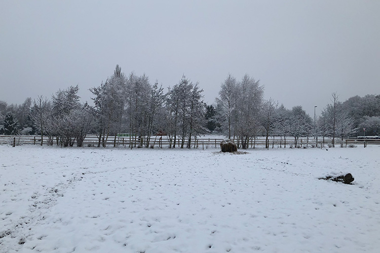 Troldegården i Køge