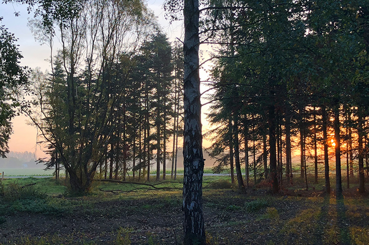 Troldegården i Køge