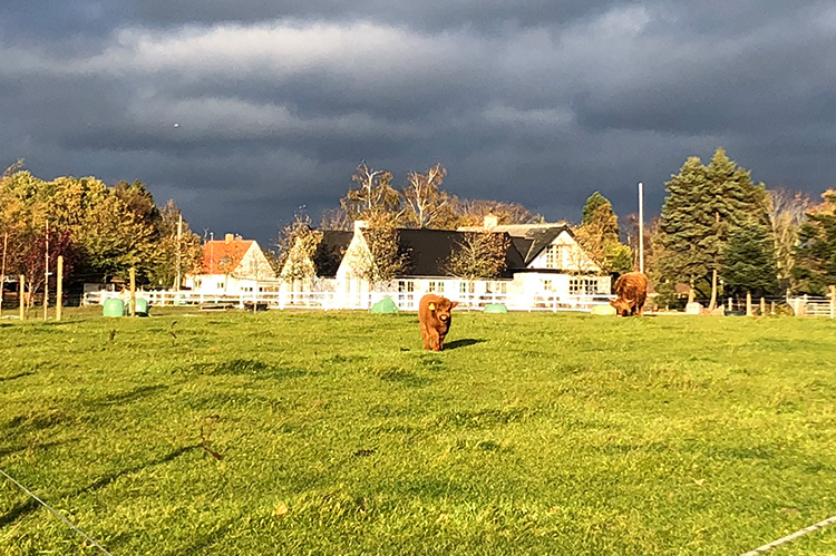 Troldegården i Køge